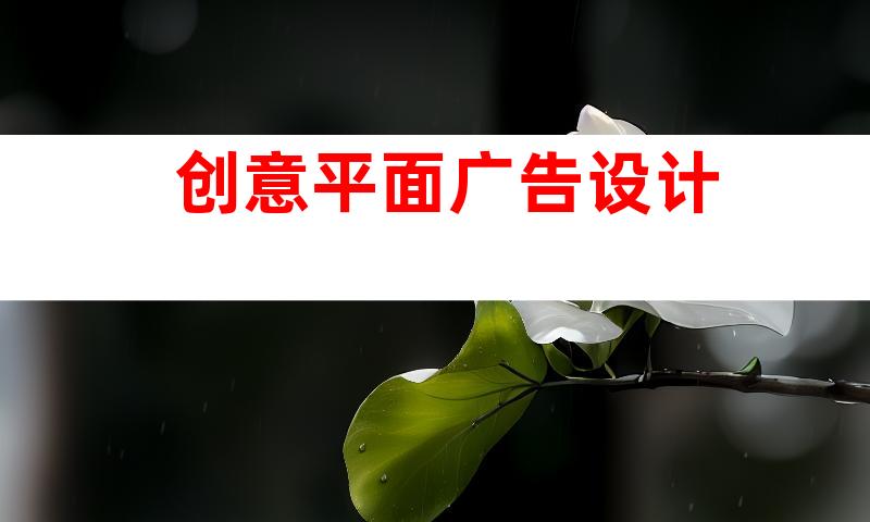 创意平面广告设计