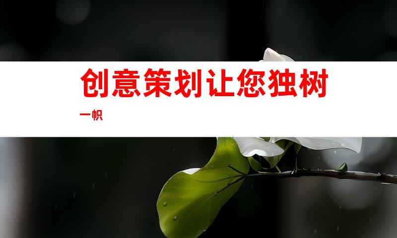 创意策划让您独树一帜