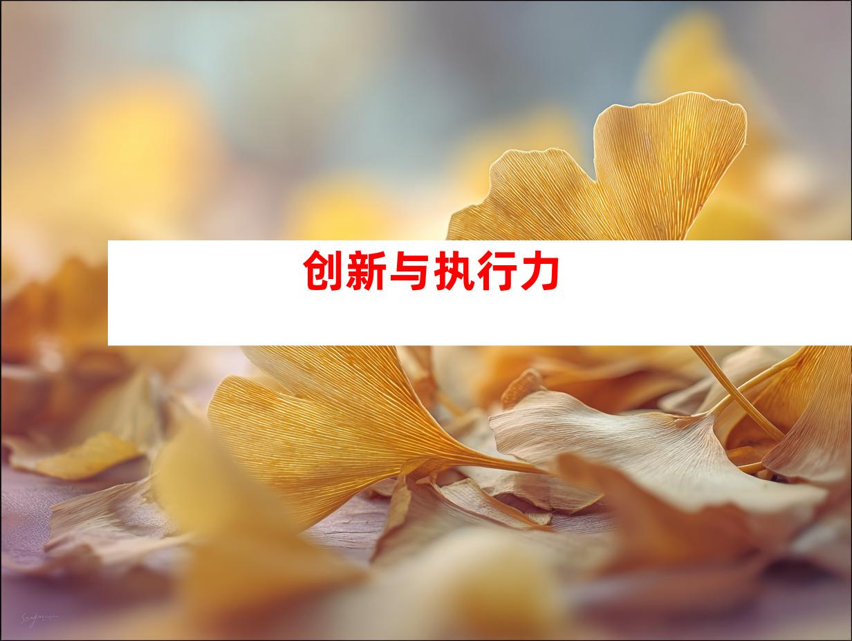 创新与执行力