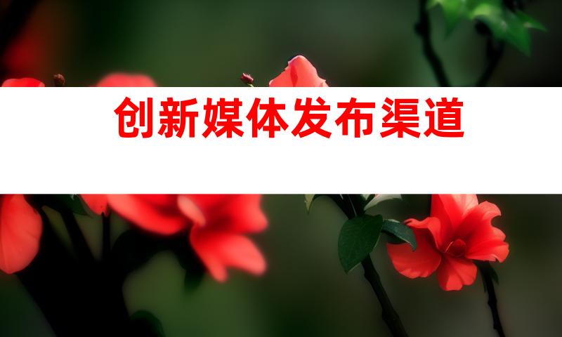创新媒体发布渠道