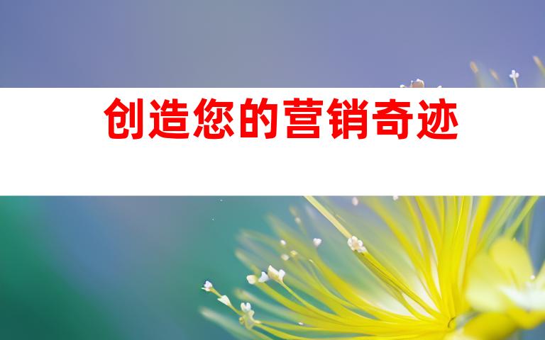 创造您的营销奇迹