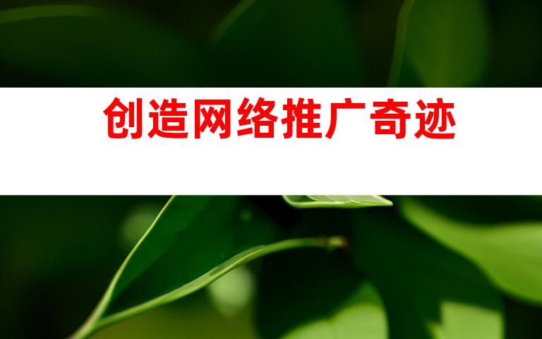 创造网络推广奇迹