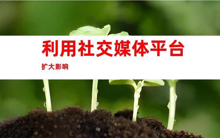 利用社交媒体平台扩大影响