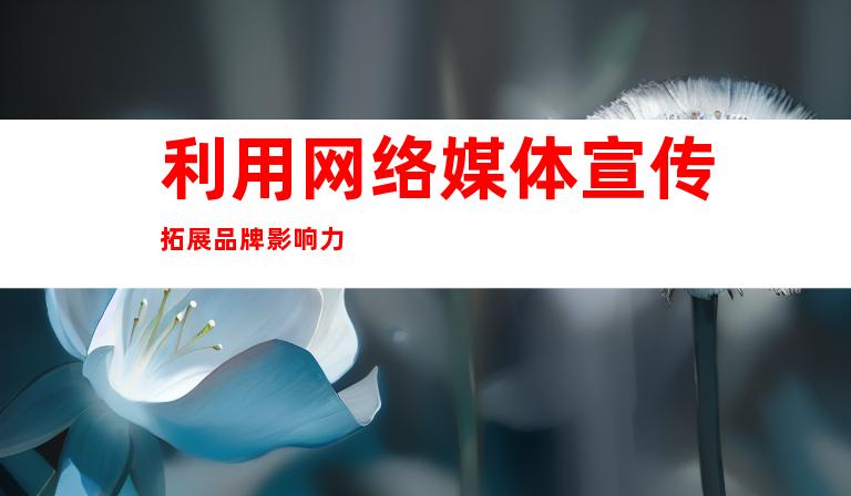 利用网络媒体宣传拓展品牌影响力