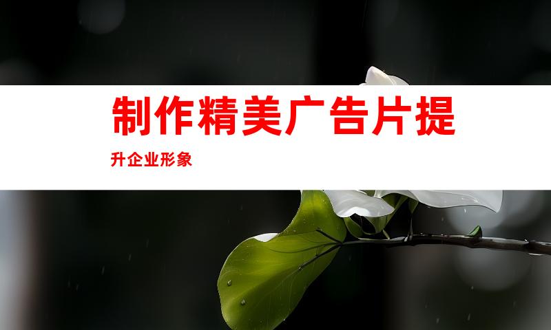 制作精美广告片提升企业形象