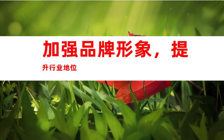 加强品牌形象，提升行业地位