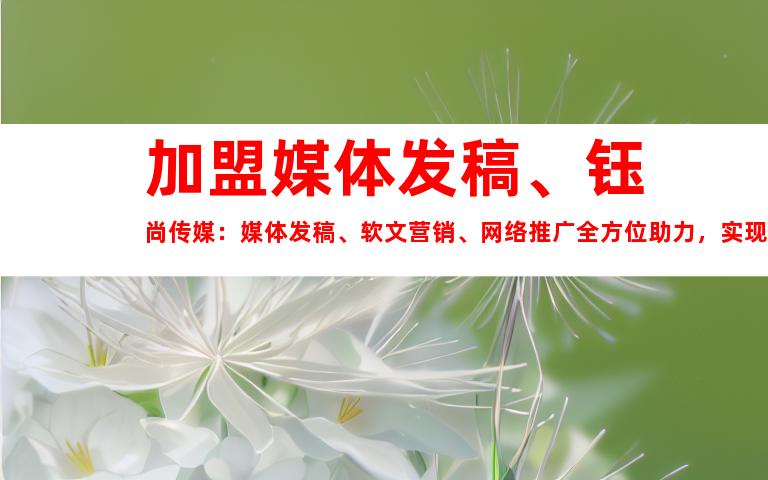 加盟媒体发稿、钰尚传媒：媒体发稿、软文营销、网络推广全方位助力，实现您的营销目标！