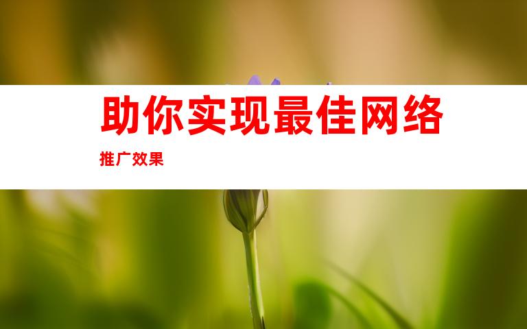 助你实现最佳网络推广效果