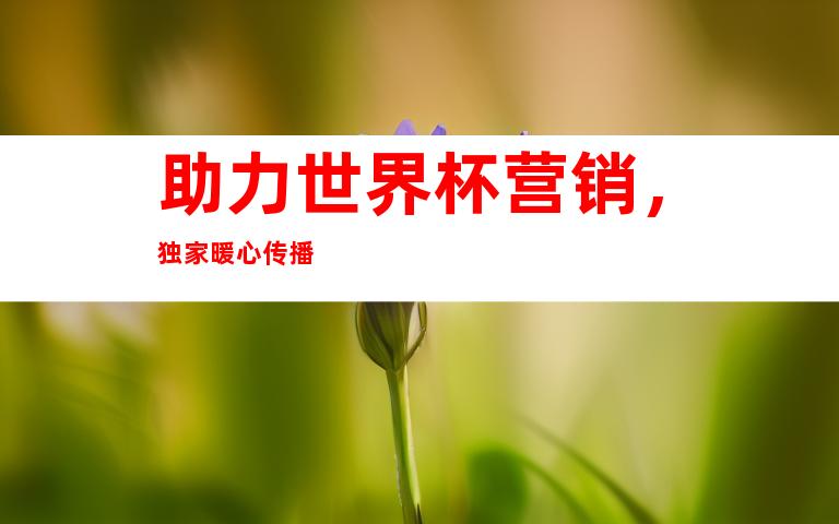 助力世界杯营销，独家暖心传播