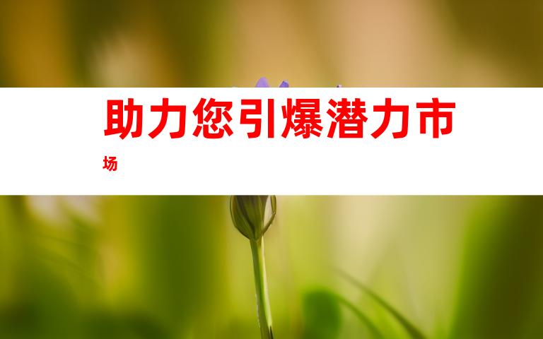 助力您引爆潜力市场