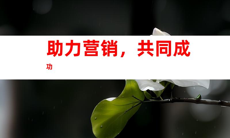 助力营销，共同成功