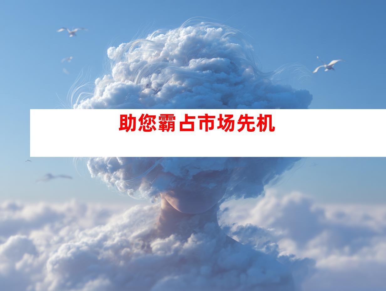 助您霸占市场先机