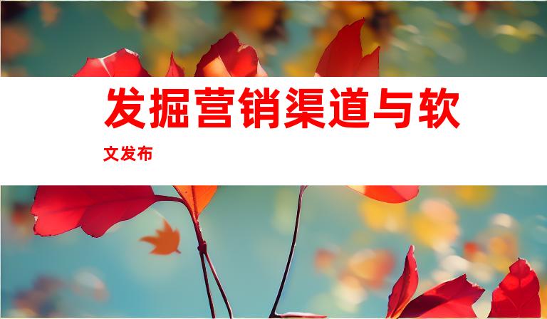发掘营销渠道与软文发布