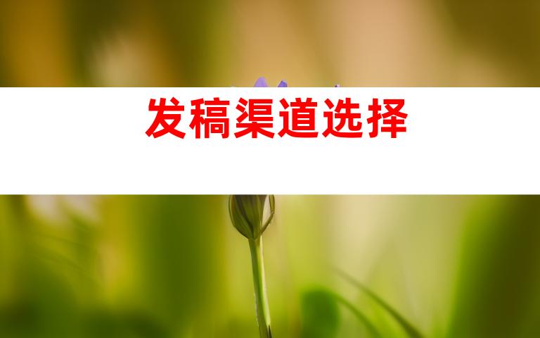 发稿渠道选择