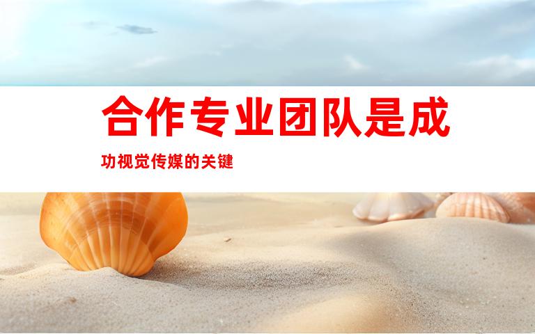 合作专业团队是成功视觉传媒的关键