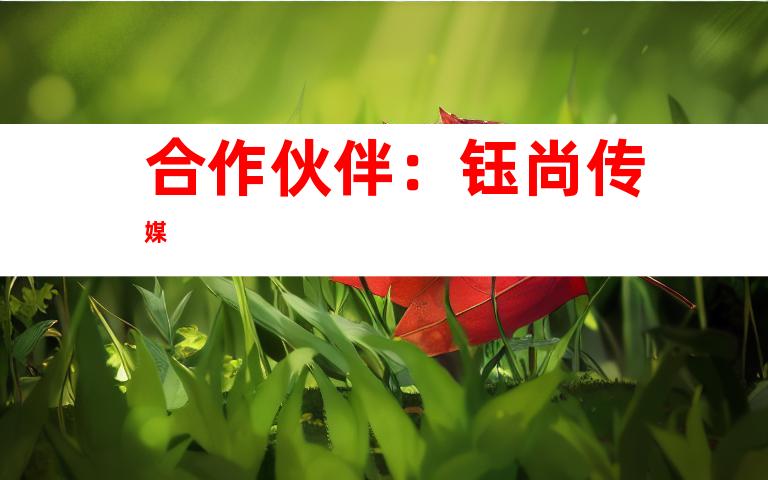 合作伙伴：钰尚传媒