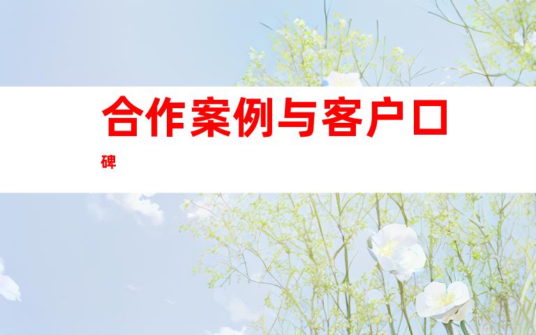 合作案例与客户口碑