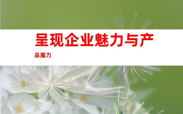 呈现企业魅力与产品魔力