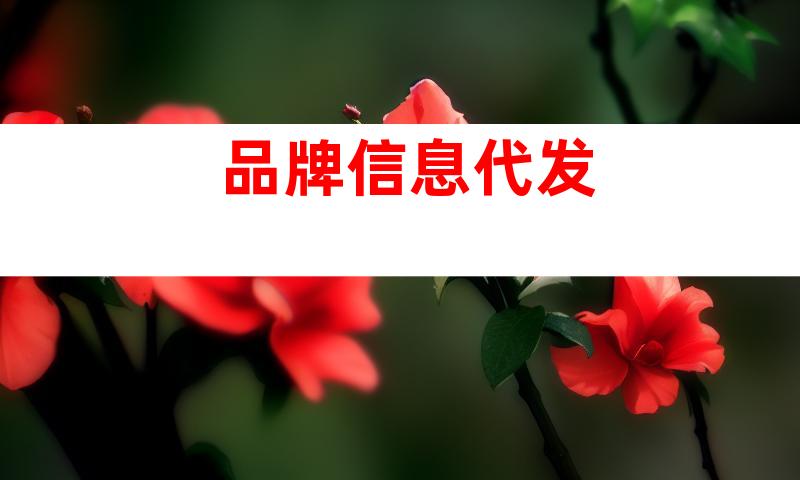 品牌信息代发