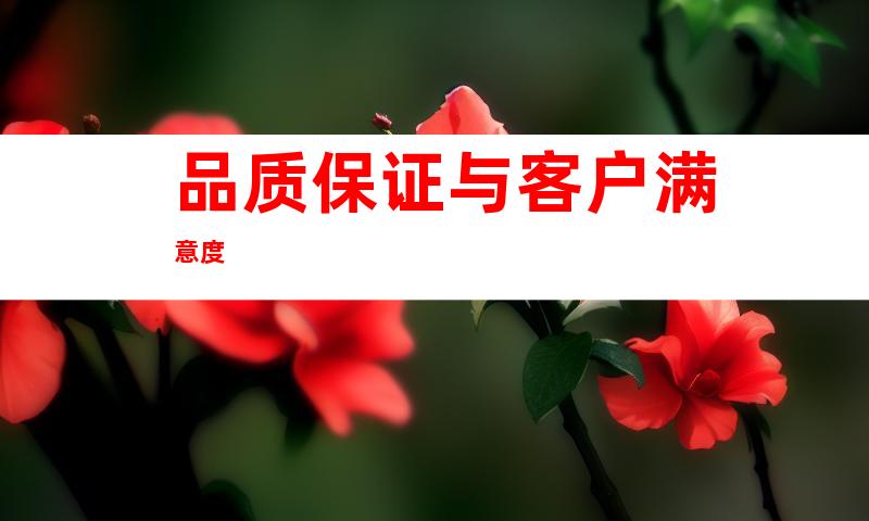 品质保证与客户满意度