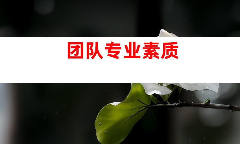 团队专业素质