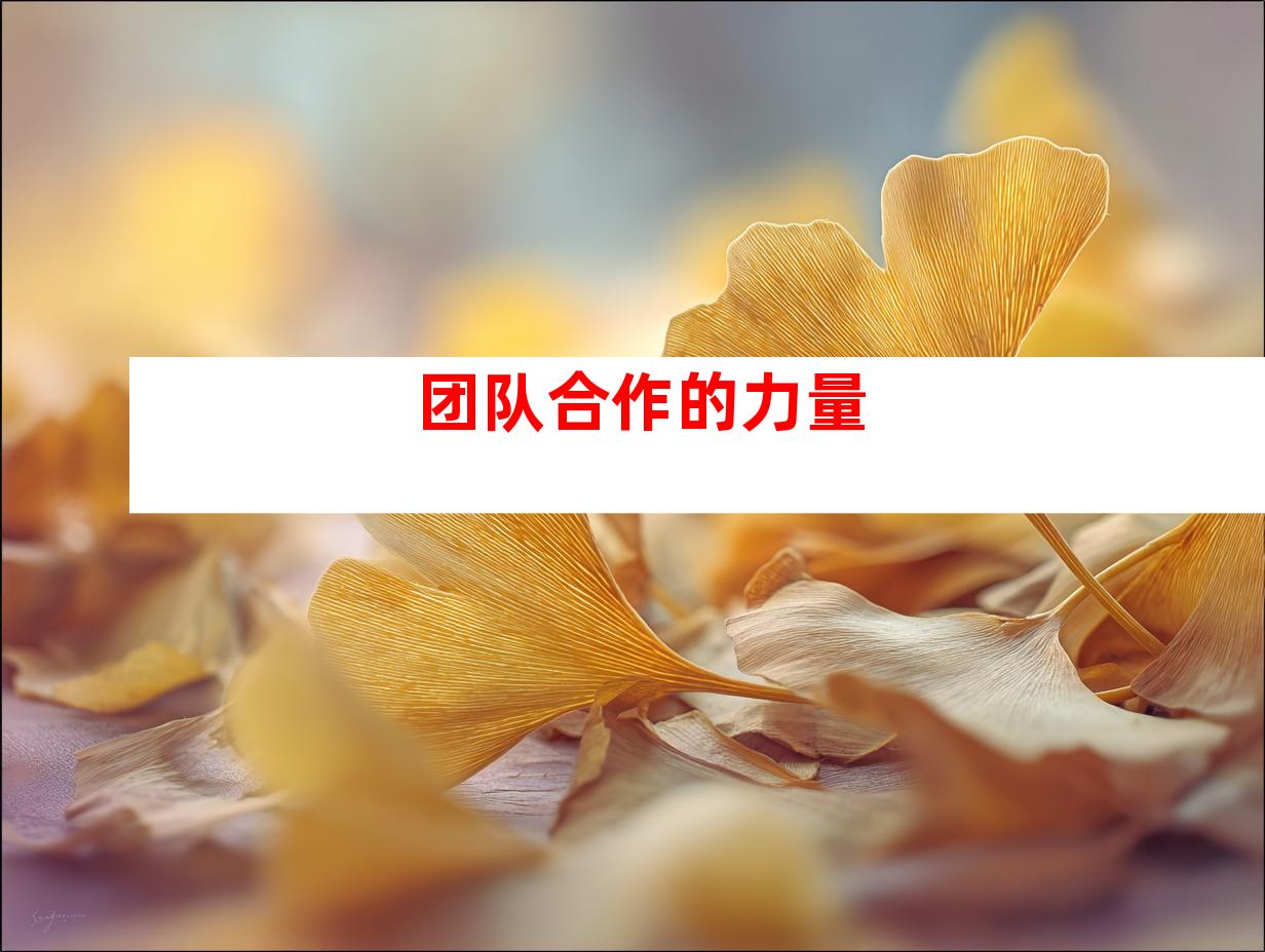 团队合作的力量