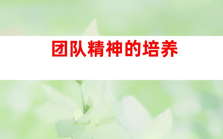 团队精神的培养