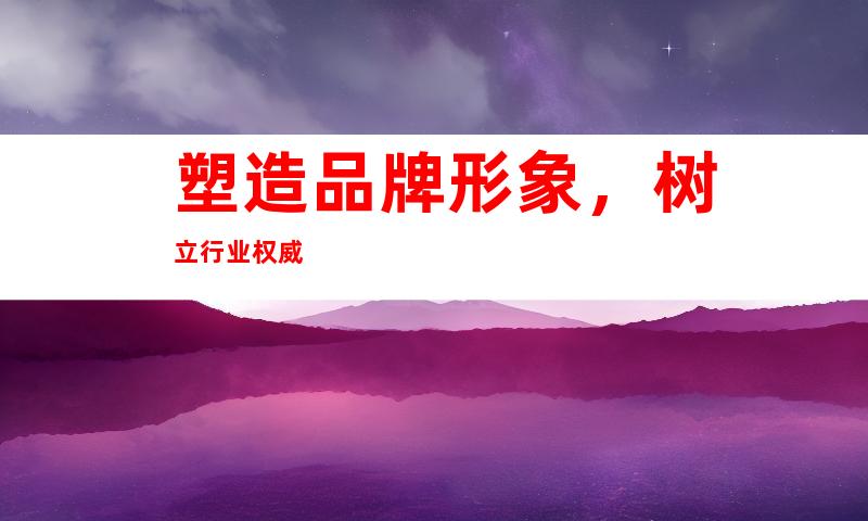 塑造品牌形象，树立行业权威