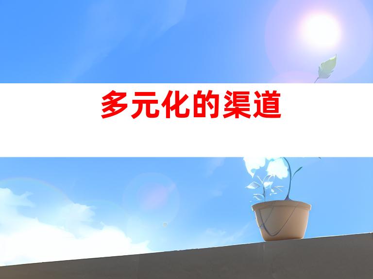 多元化的渠道