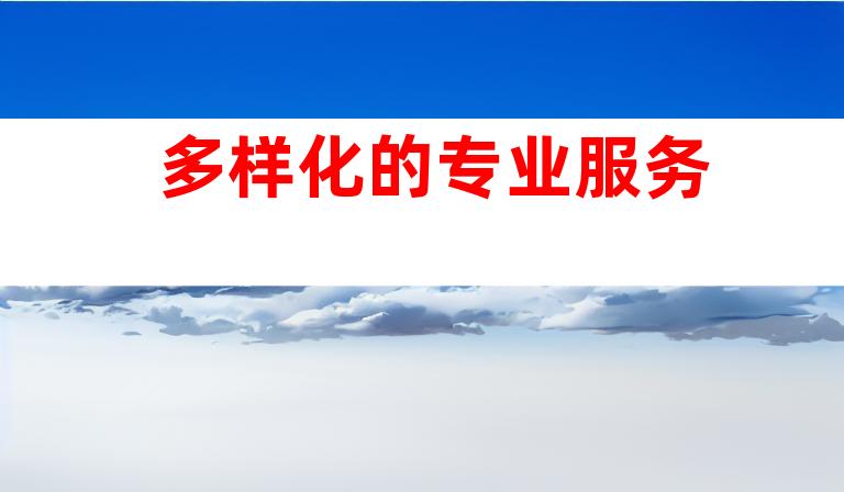 多样化的专业服务