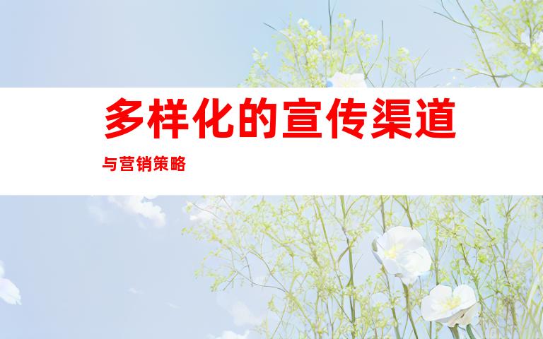 多样化的宣传渠道与营销策略