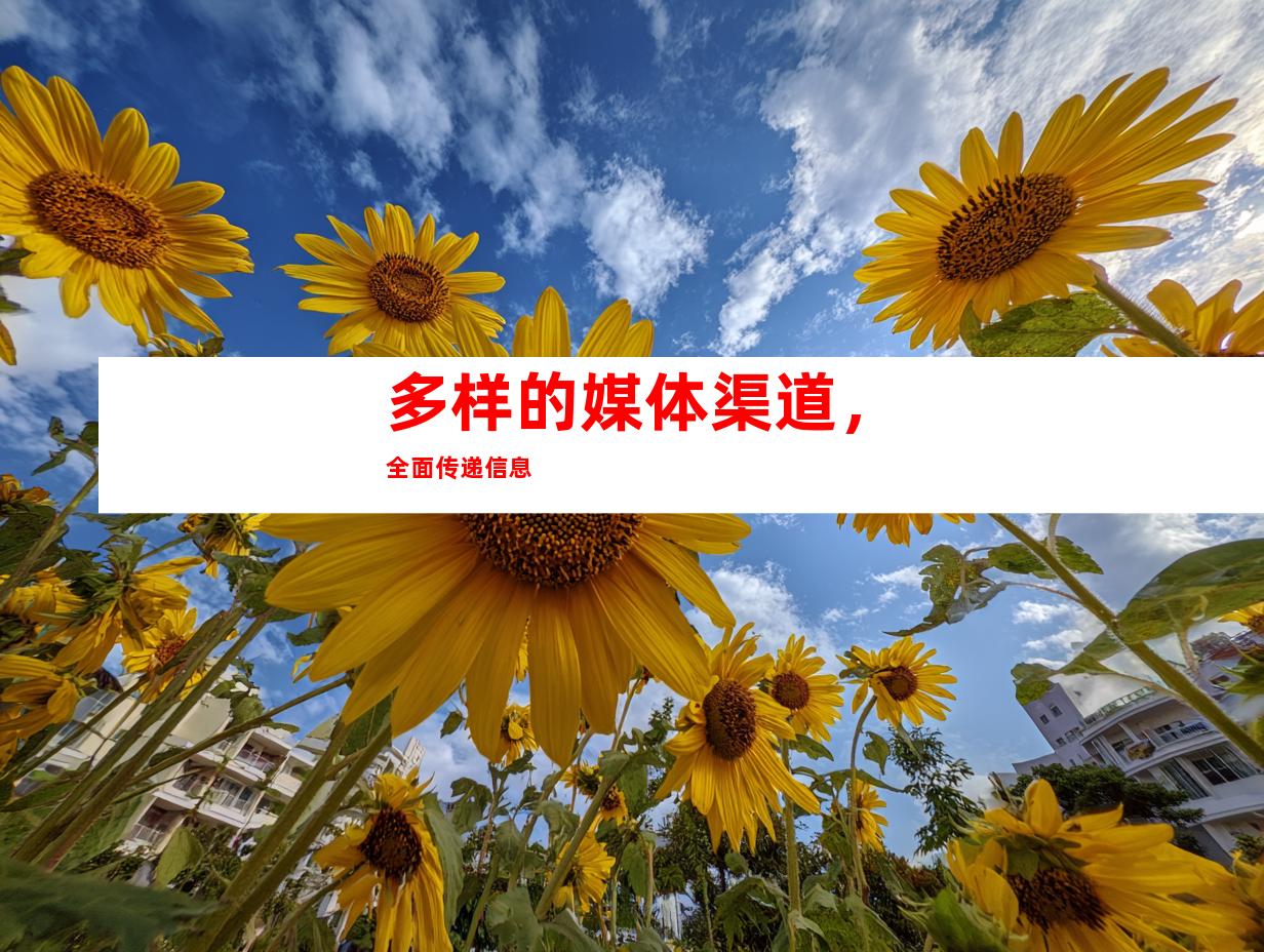 多样的媒体渠道，全面传递信息