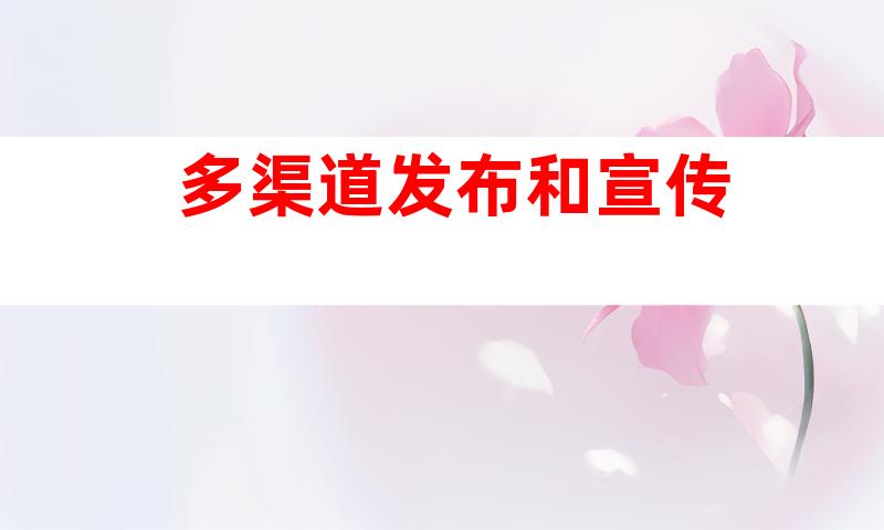 多渠道发布和宣传