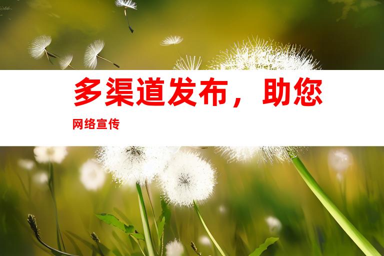 多渠道发布，助您网络宣传