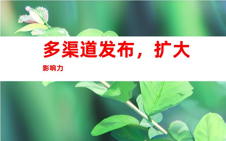 多渠道发布，扩大影响力