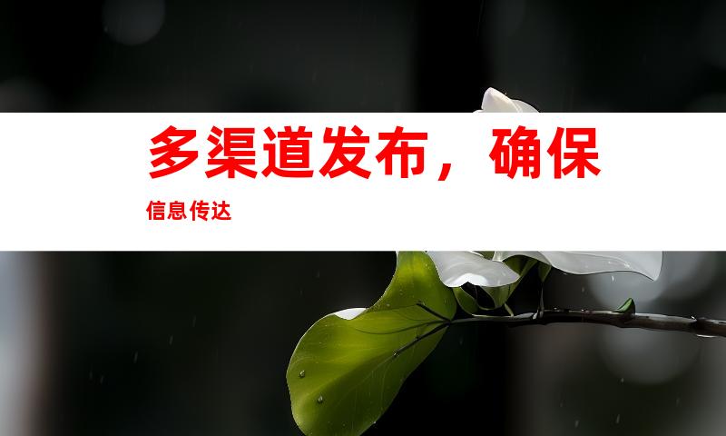 多渠道发布，确保信息传达