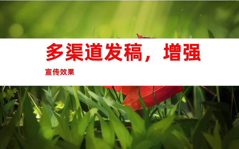 多渠道发稿，增强宣传效果