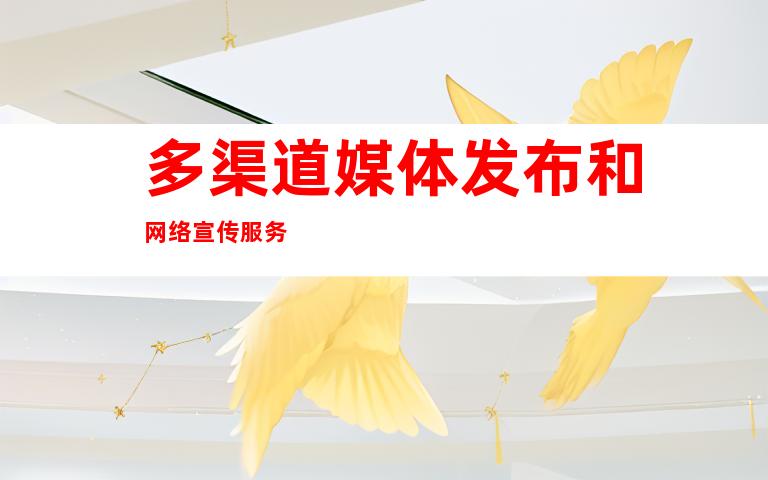 多渠道媒体发布和网络宣传服务