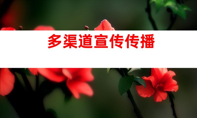 多渠道宣传传播