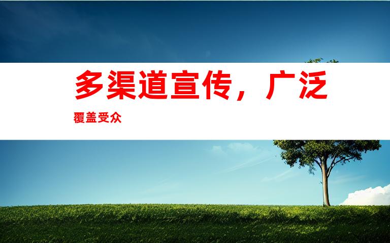 多渠道宣传，广泛覆盖受众
