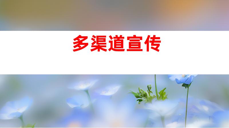多渠道宣传