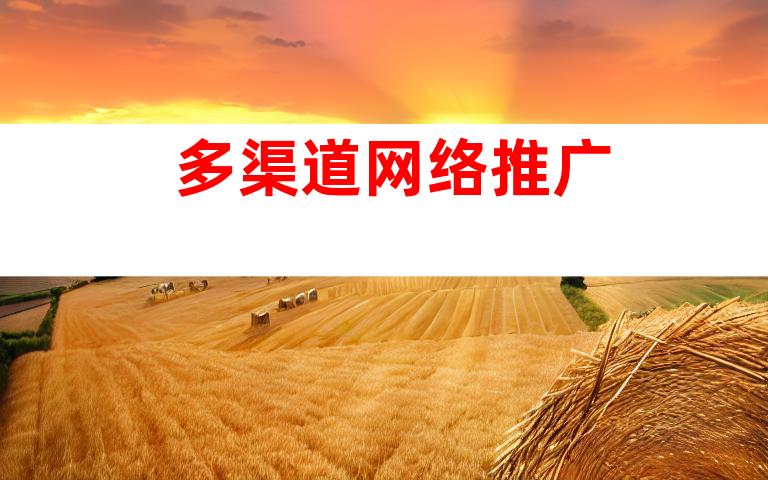 多渠道网络推广