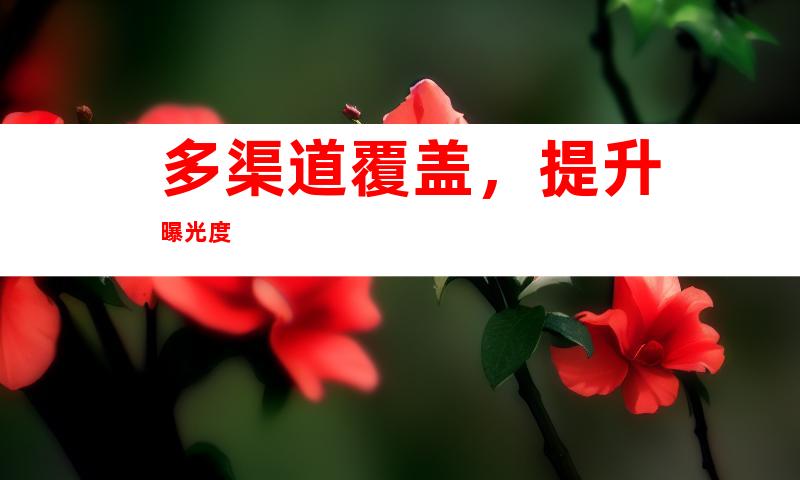 多渠道覆盖，提升曝光度