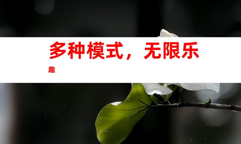 多种模式，无限乐趣