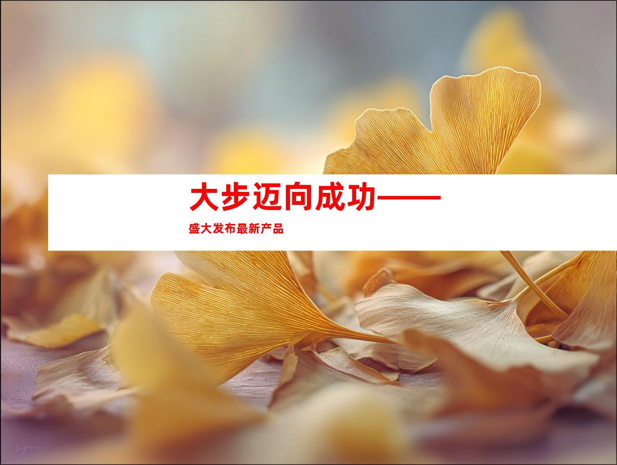 大步迈向成功——盛大发布最新产品