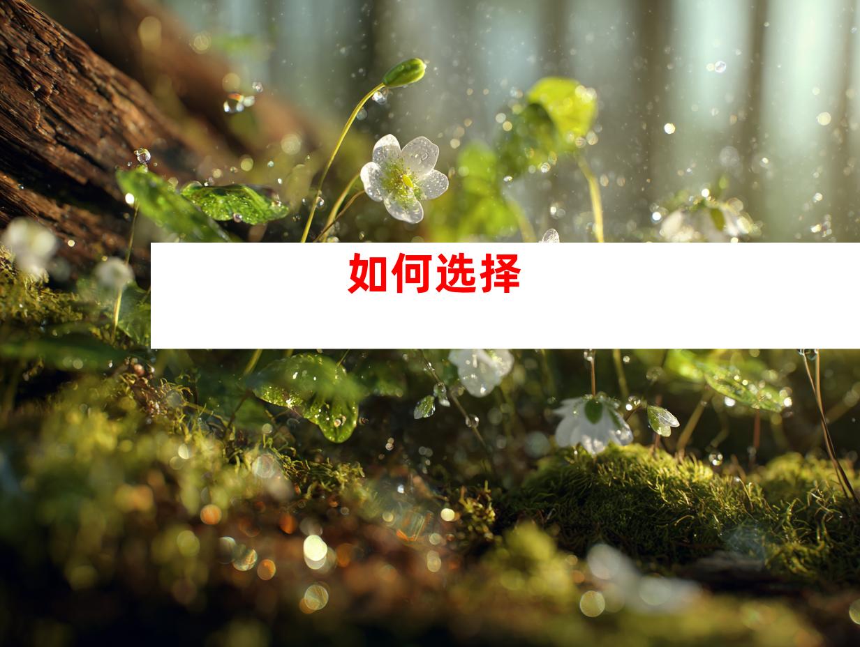 如何选择