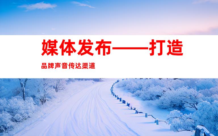 媒体发布——打造品牌声音传达渠道