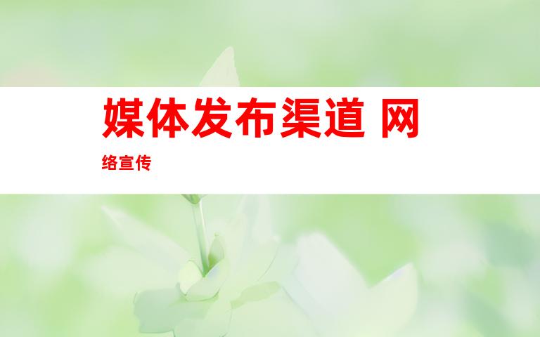 媒体发布渠道+网络宣传