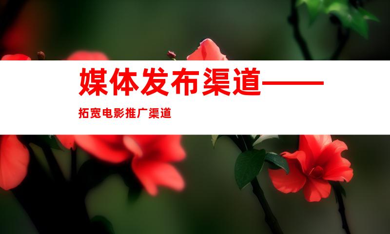 媒体发布渠道——拓宽电影推广渠道