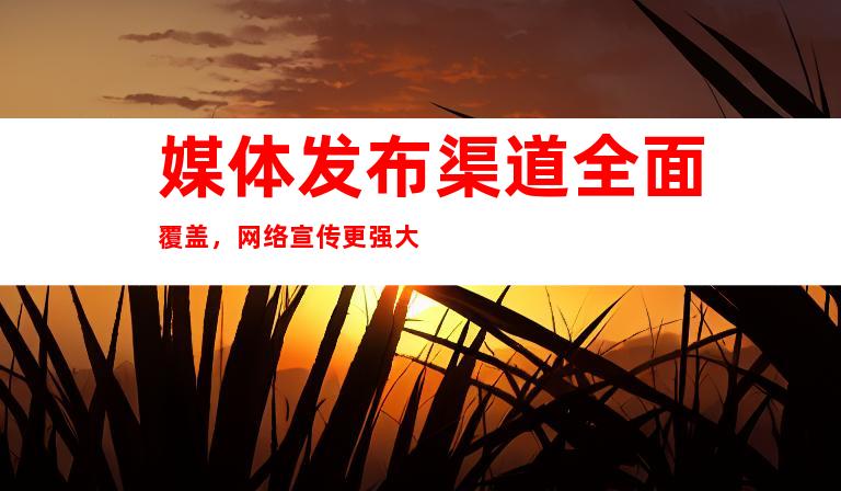 媒体发布渠道全面覆盖，网络宣传更强大